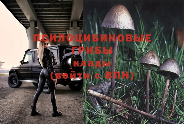 прущая мука Абинск